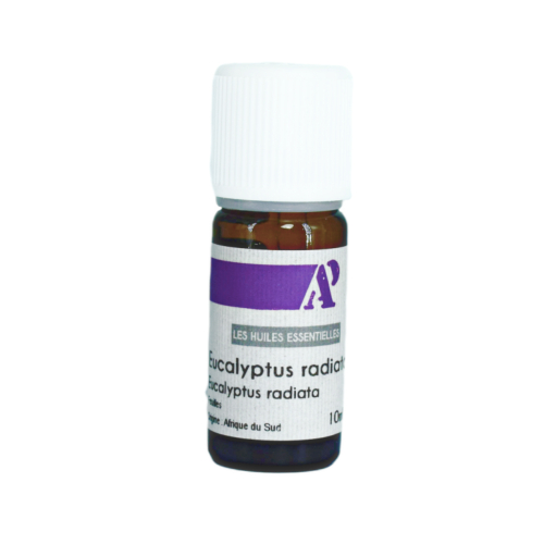 Eucalyptus radiata - huile essentielles bio - 10 ml 