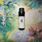 Huile essentielle Pin céleste -10 ml - Huile essentielle Stimulante