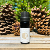 Huile essentielle Spirit Of Trees 10 ml - Huile essentielle Harmonisante 