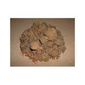 Myrrhe bio - Huile essentielle - 5 ml